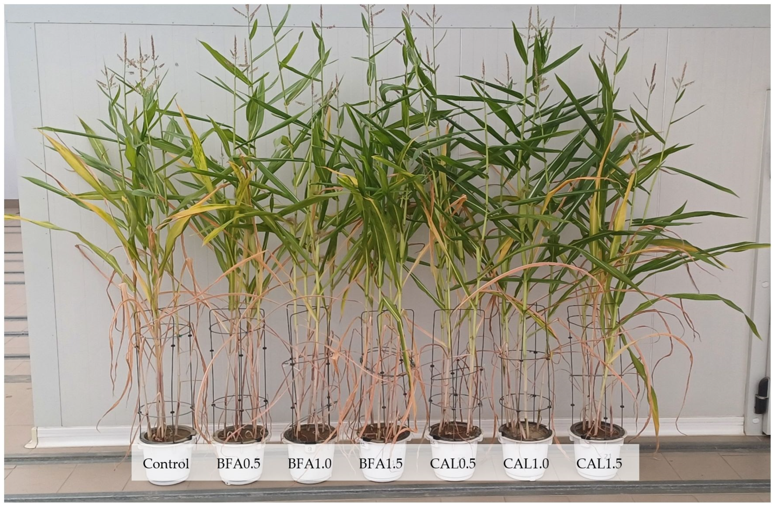 Energies 18 05714 g004