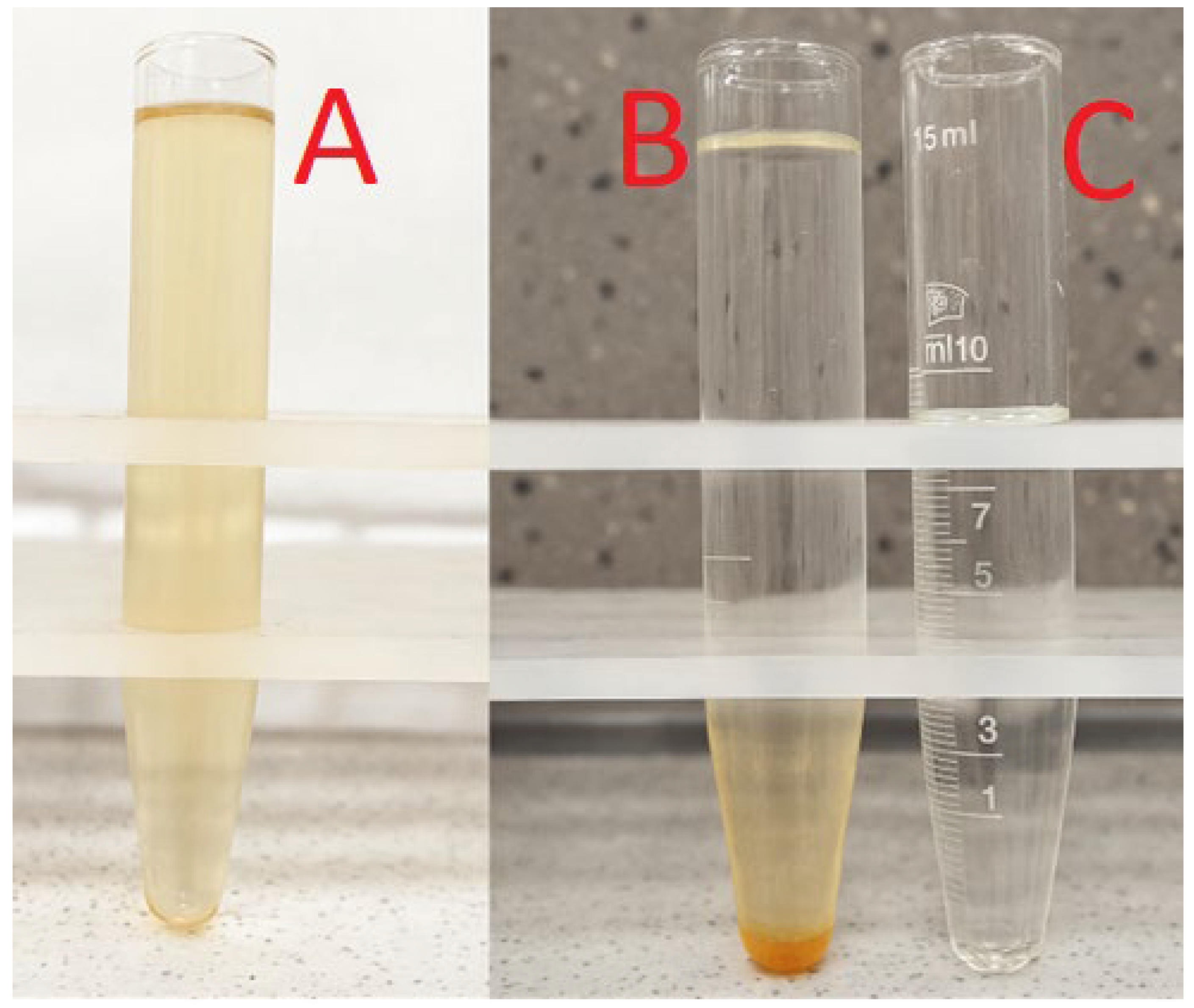 Energies 18 05777 g003