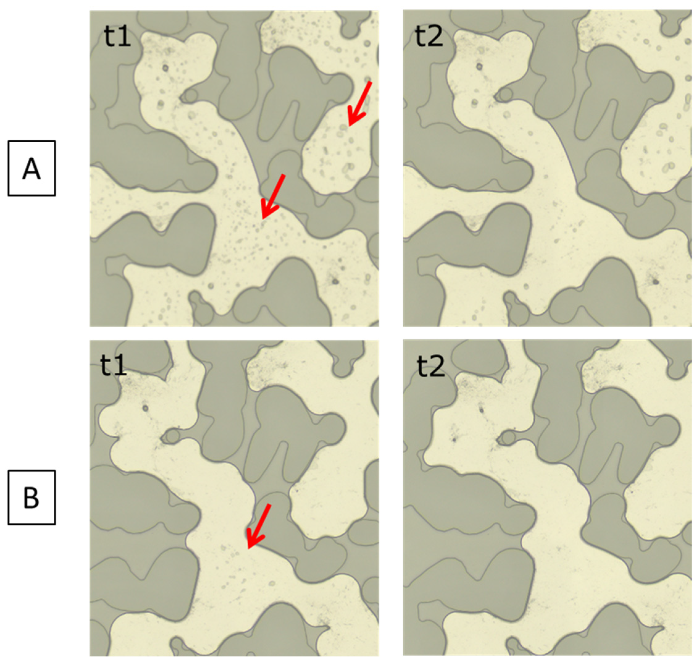 Energies 19 00348 g006