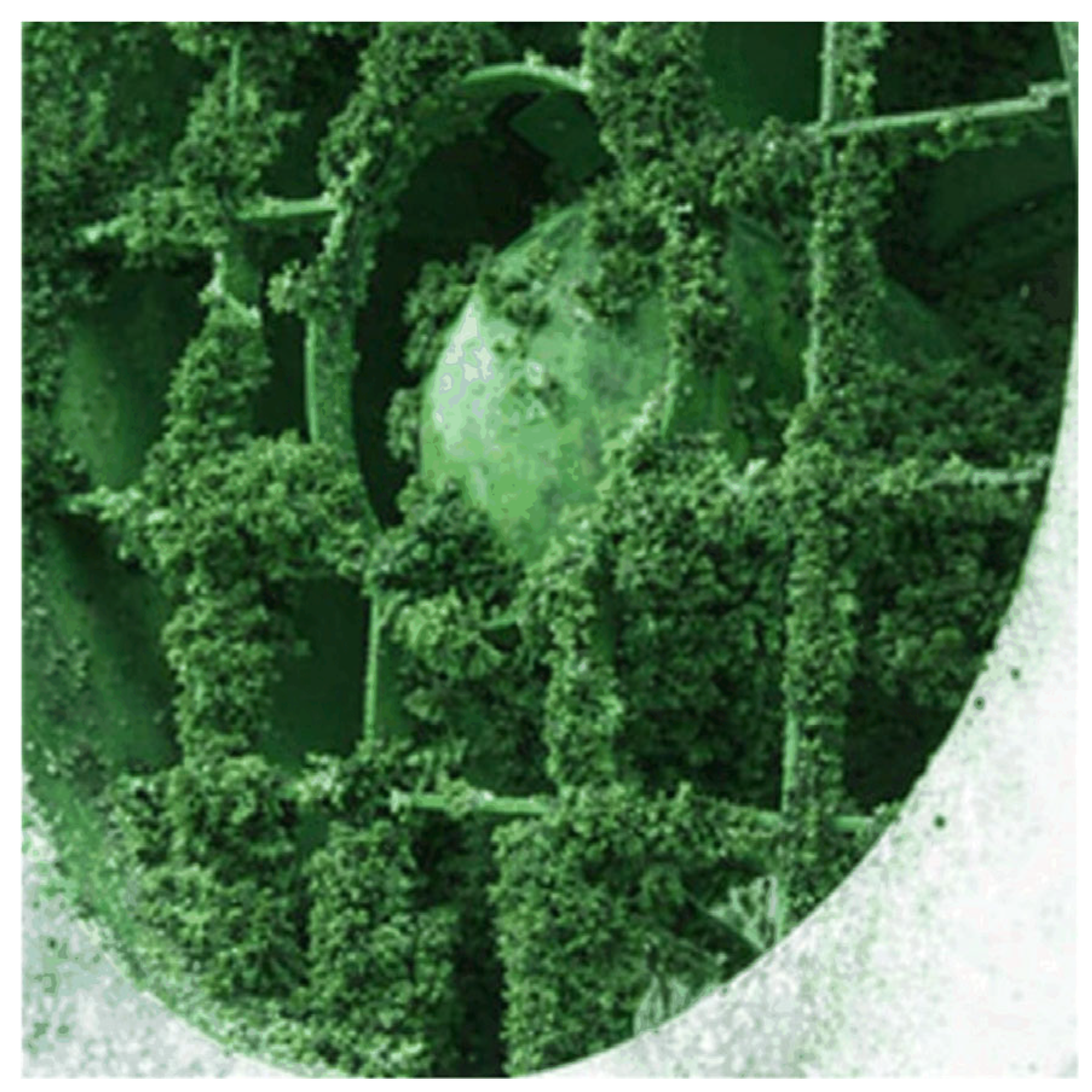 Energies 19 00708 g019