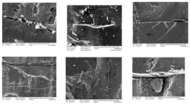 Energies 19 01703 i002 Energies 19 01703 i002