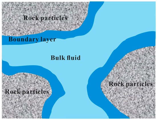Schematic diagram of the boundary layer at the pore wall.