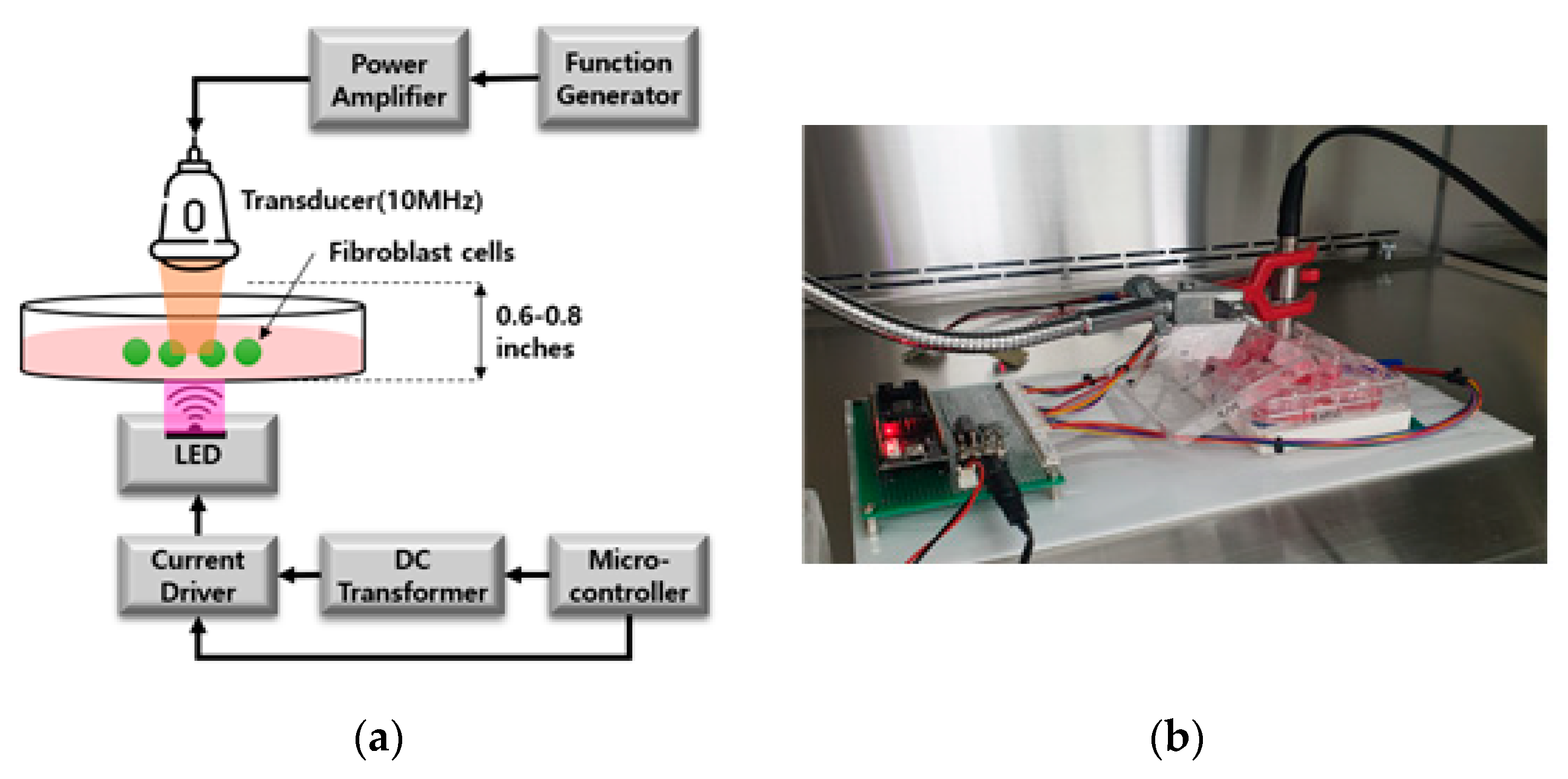Engproc 02 00002 g001