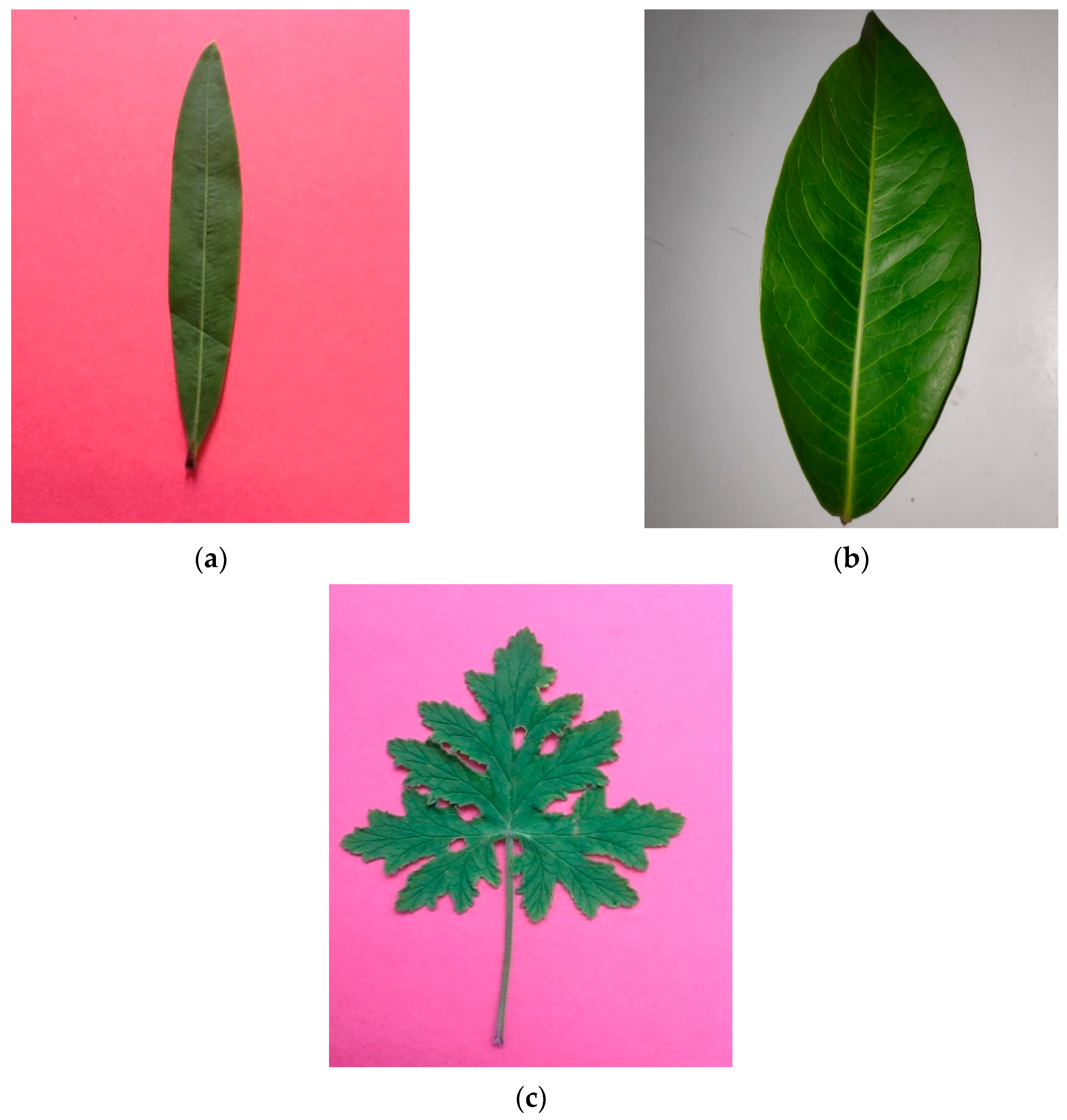 Engproc 02 00049 g002