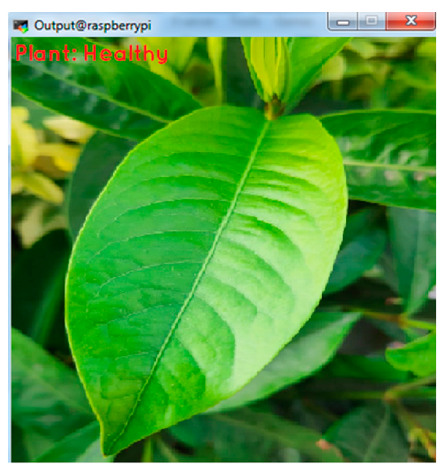 Engproc 02 00049 g005