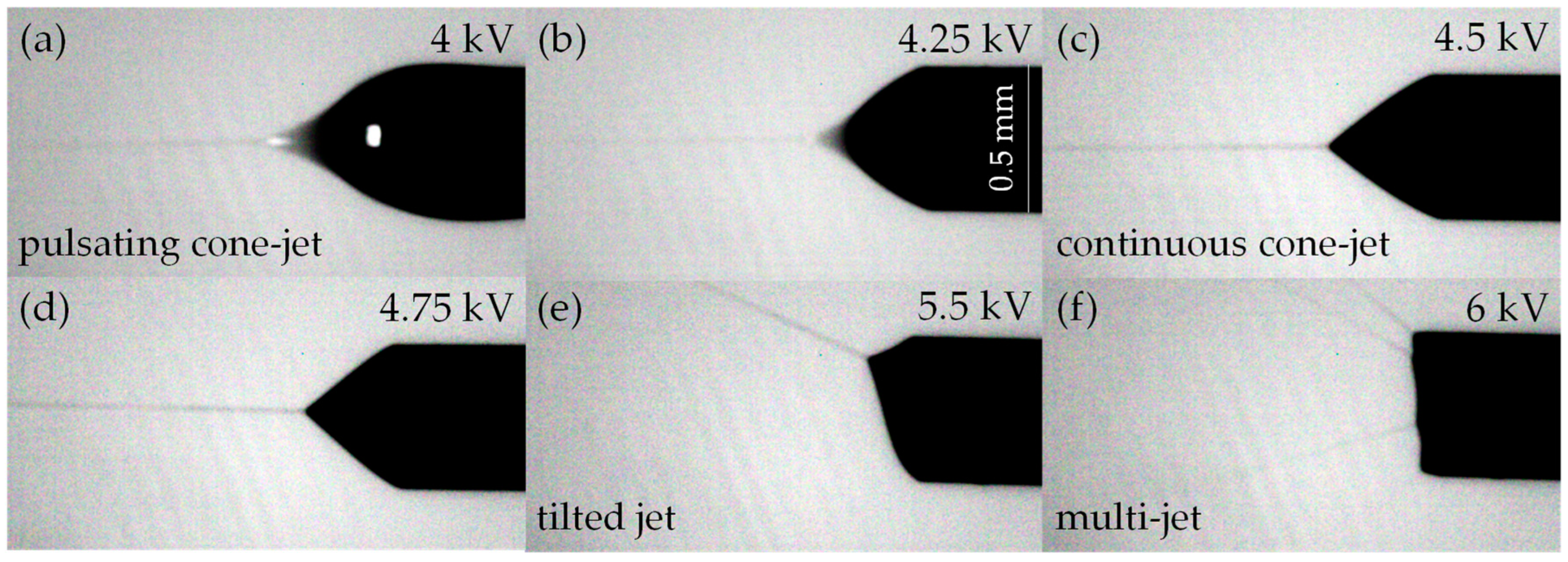 Engproc 02 00066 g004