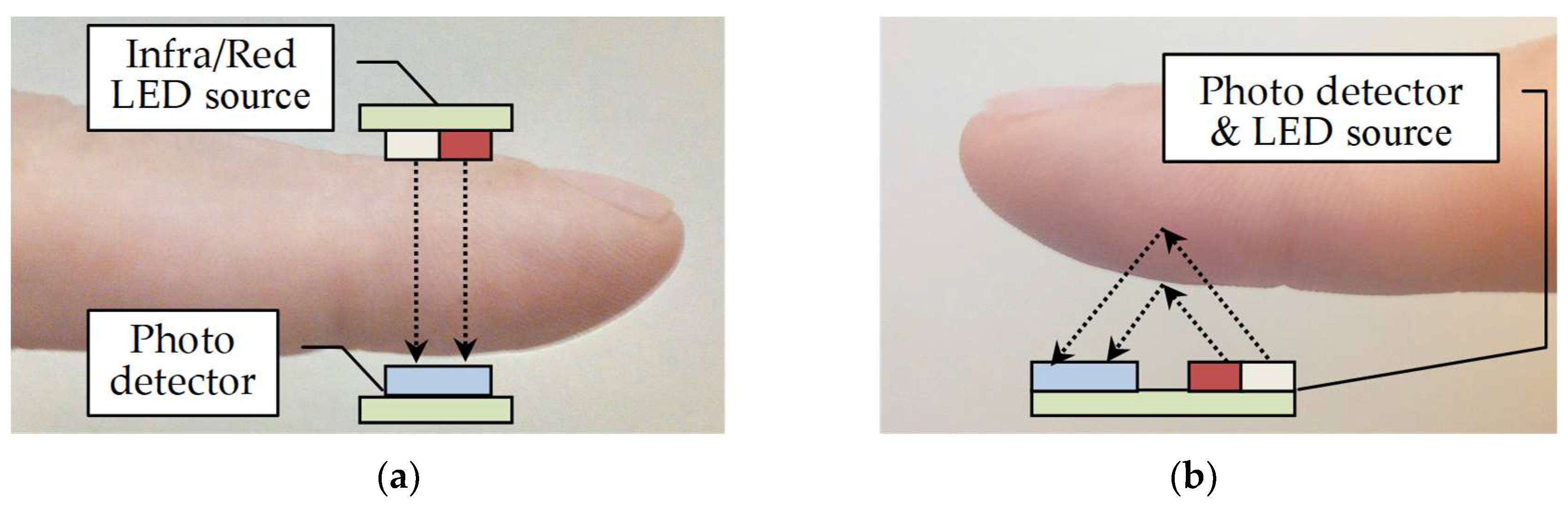 Engproc 02 00069 g001