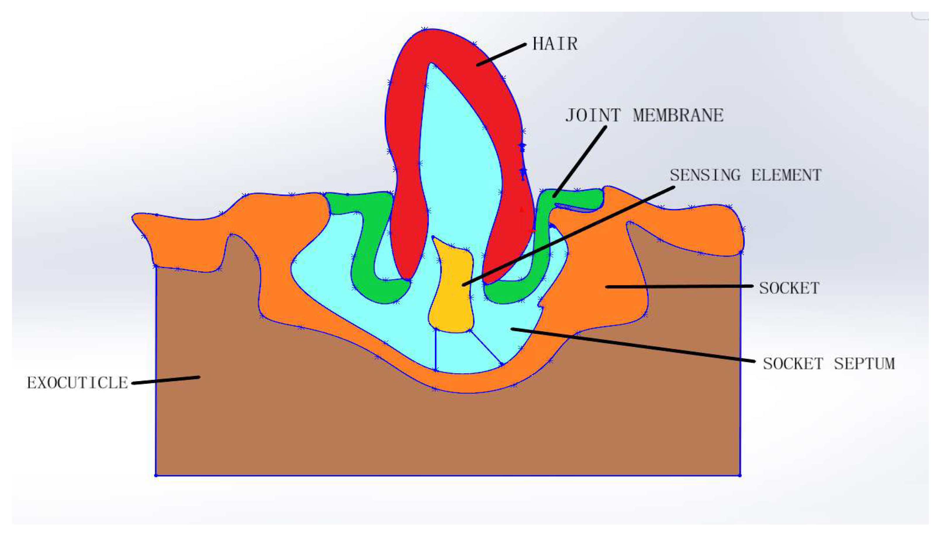 Engproc 02 00070 g003