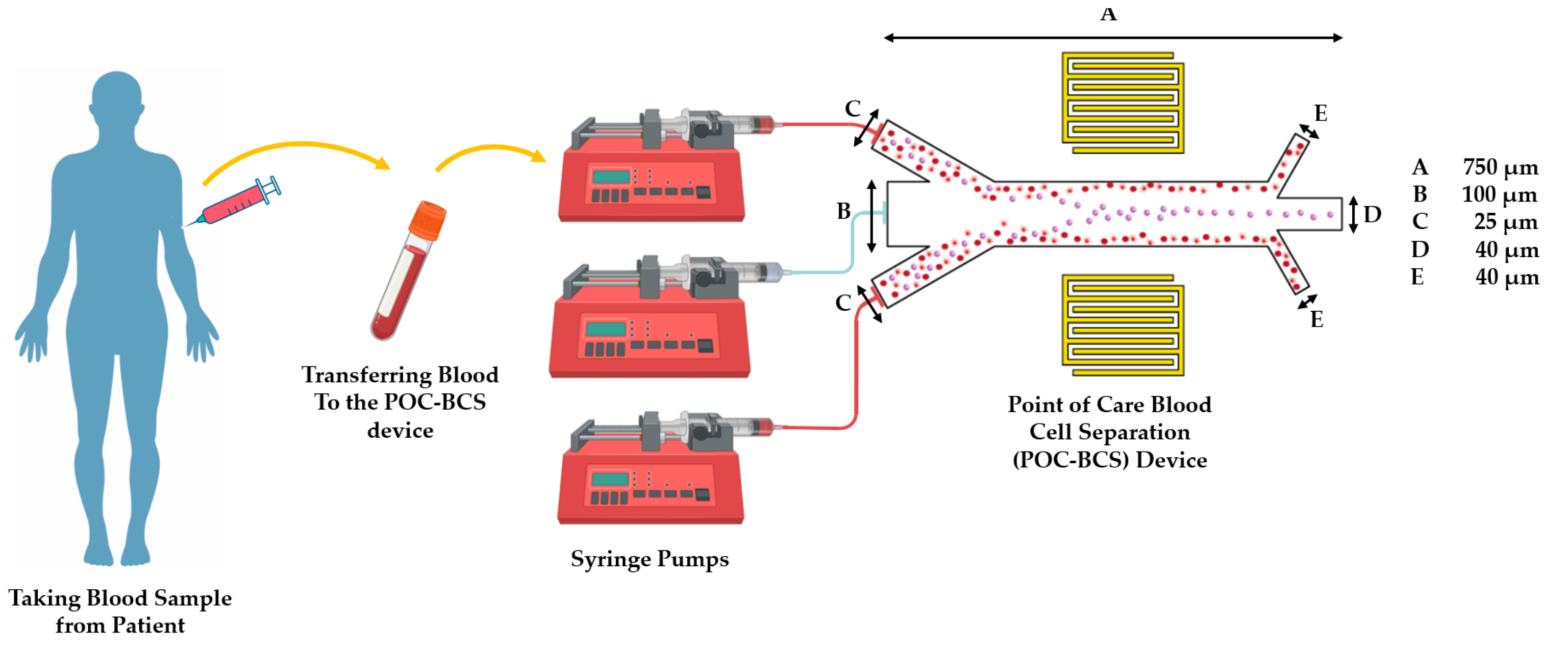 Engproc 02 00076 g001