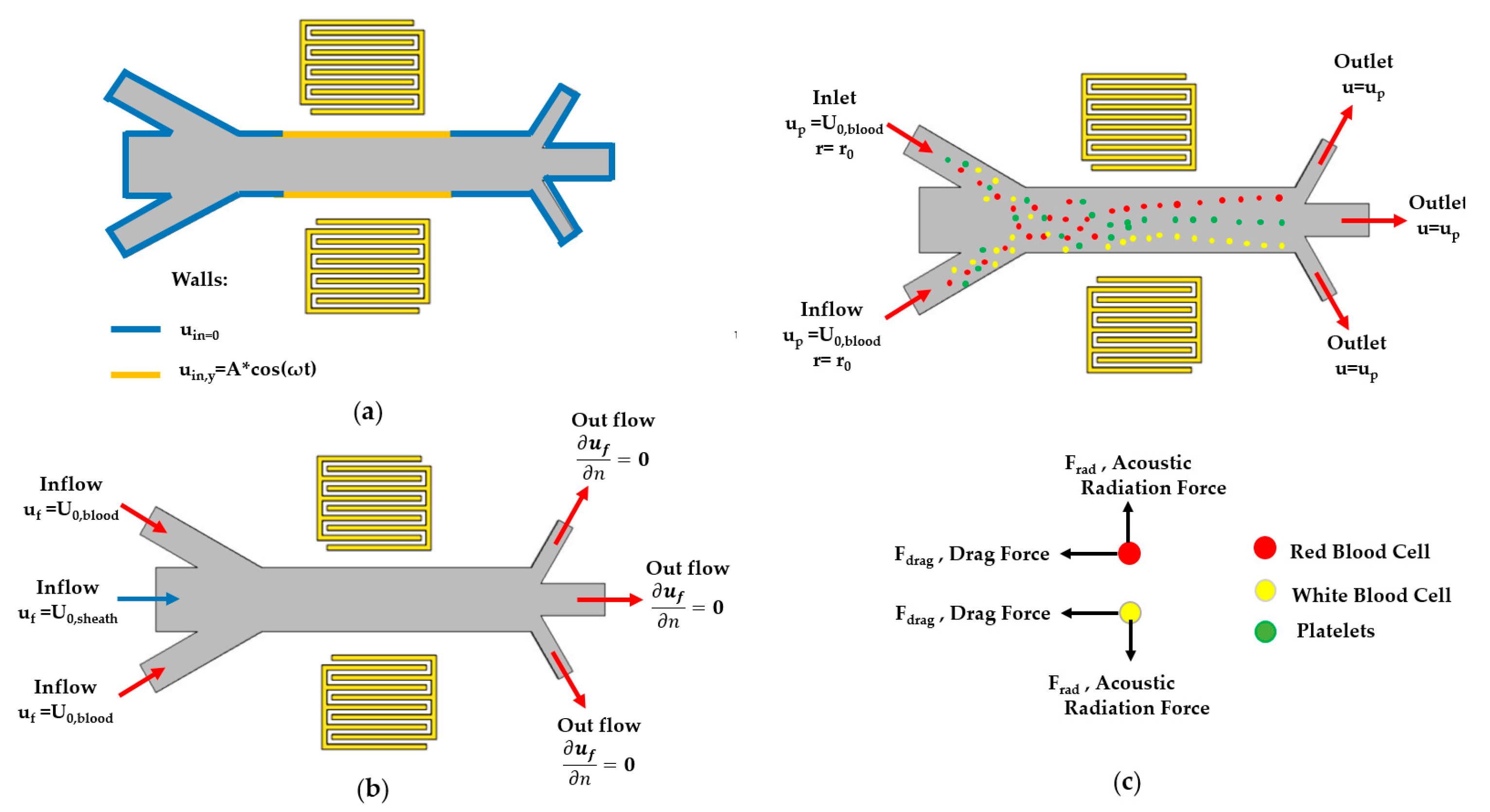 Engproc 02 00076 g003