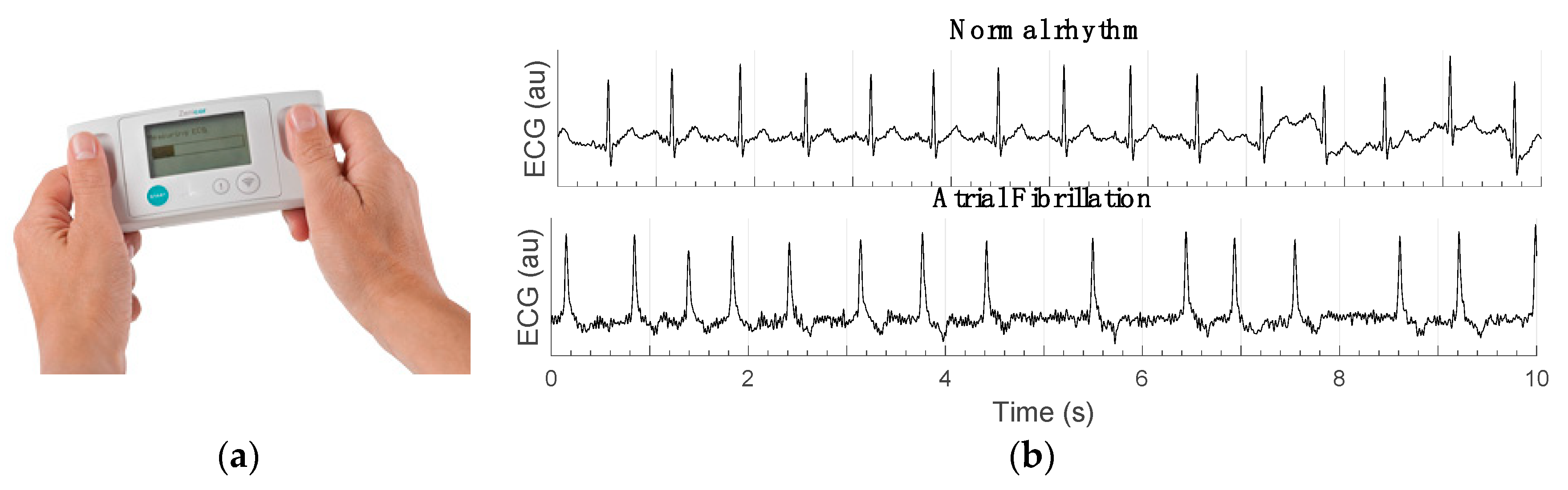 Engproc 02 00078 g001