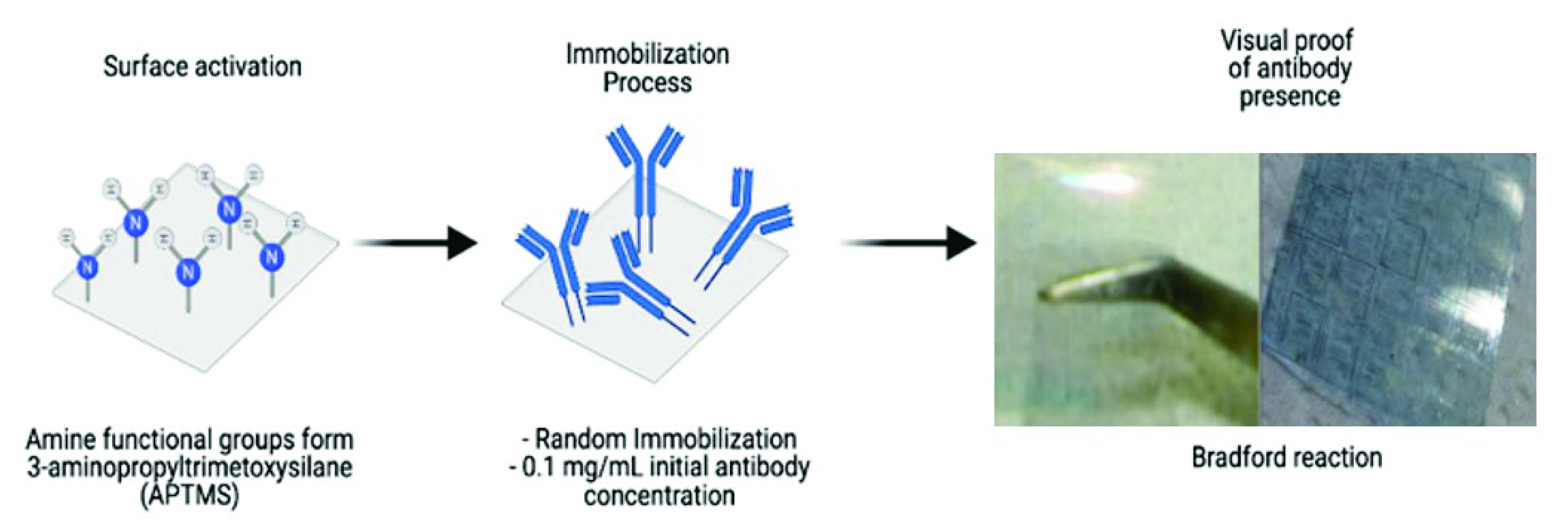 Engproc 04 00023 g002