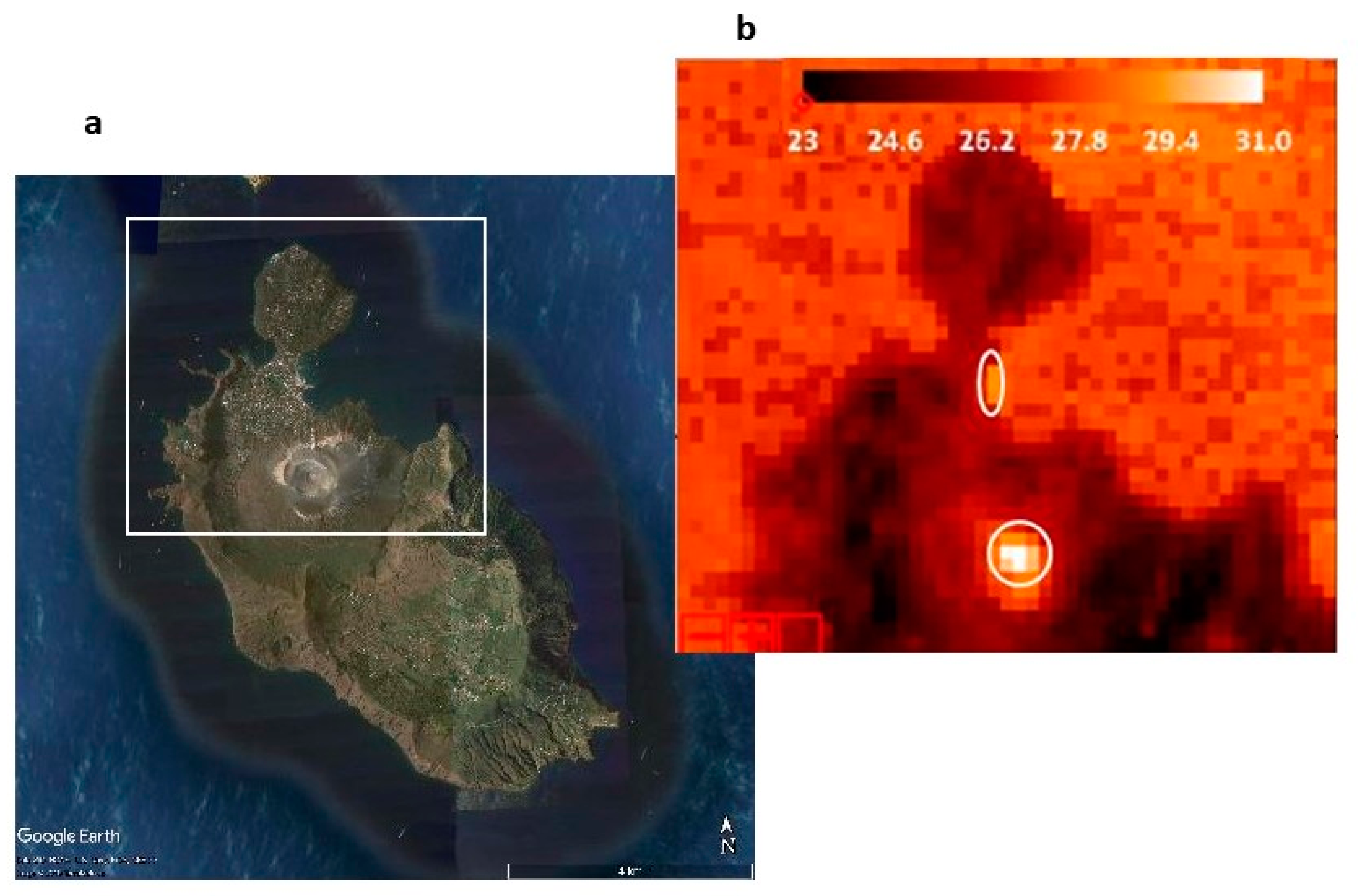 Engproc 05 00047 g004