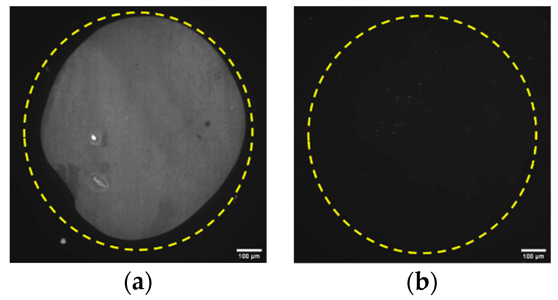 Engproc 06 00043 g003