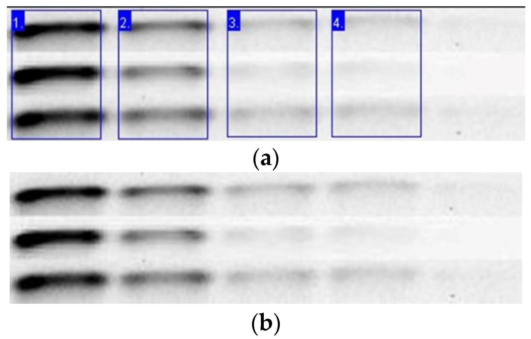 Engproc 06 00044 g003