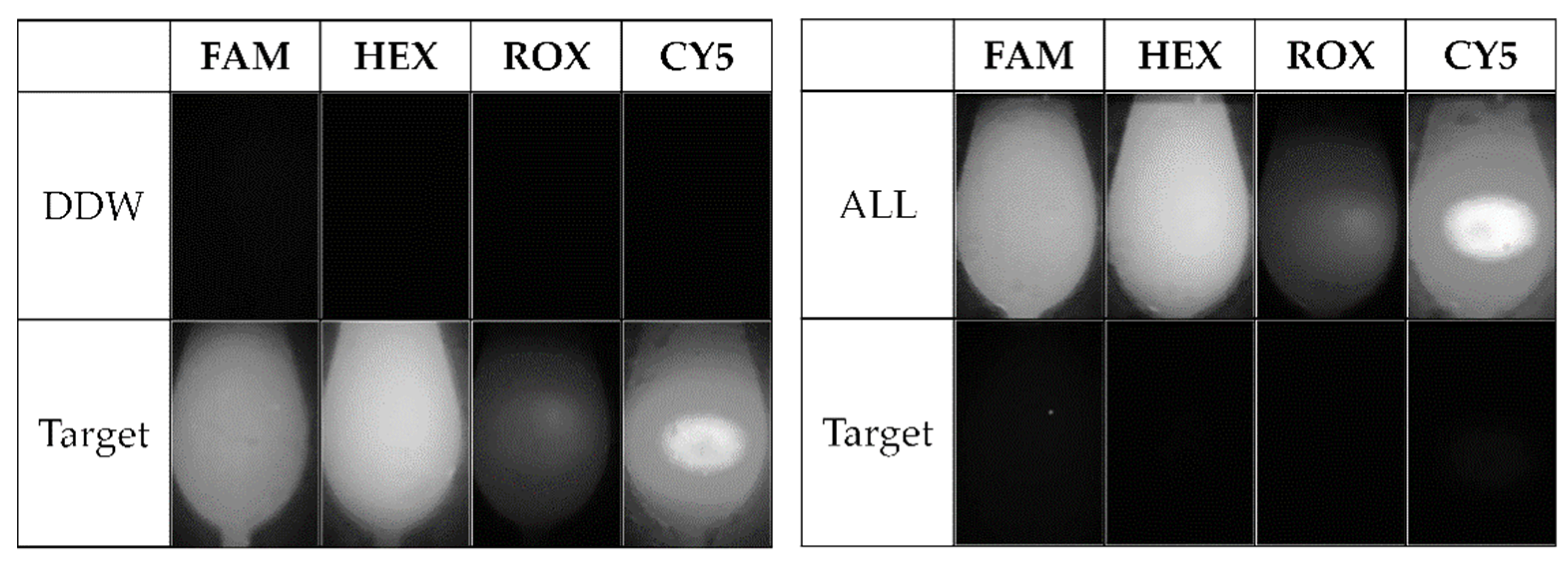 Engproc 06 00059 g002