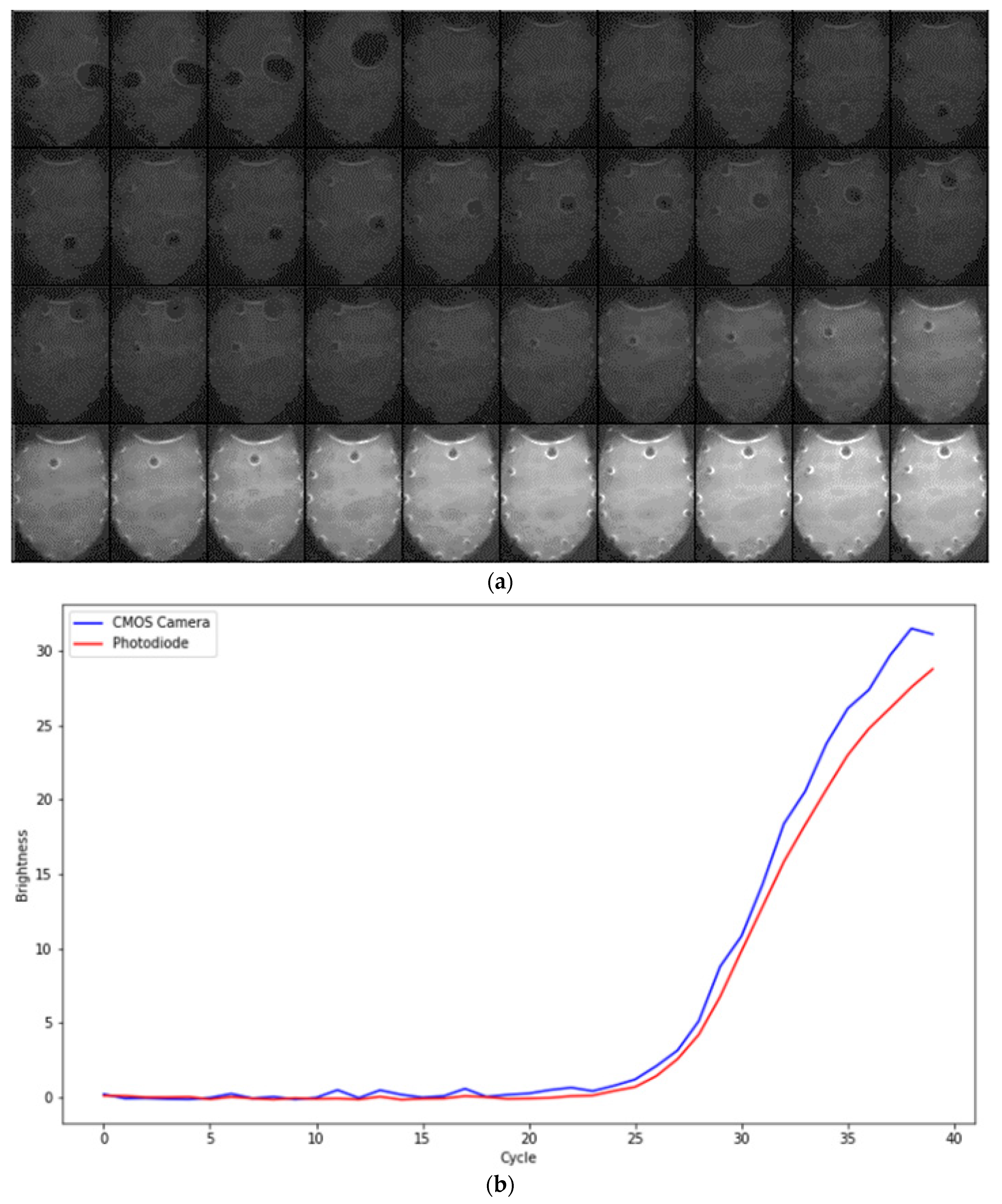 Engproc 06 00059 g003