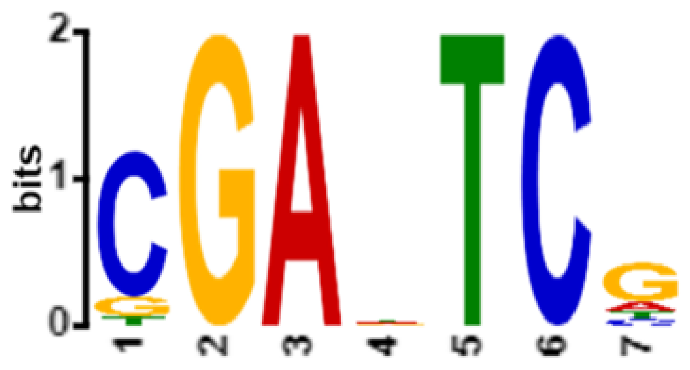 Engproc 07 00059 g002