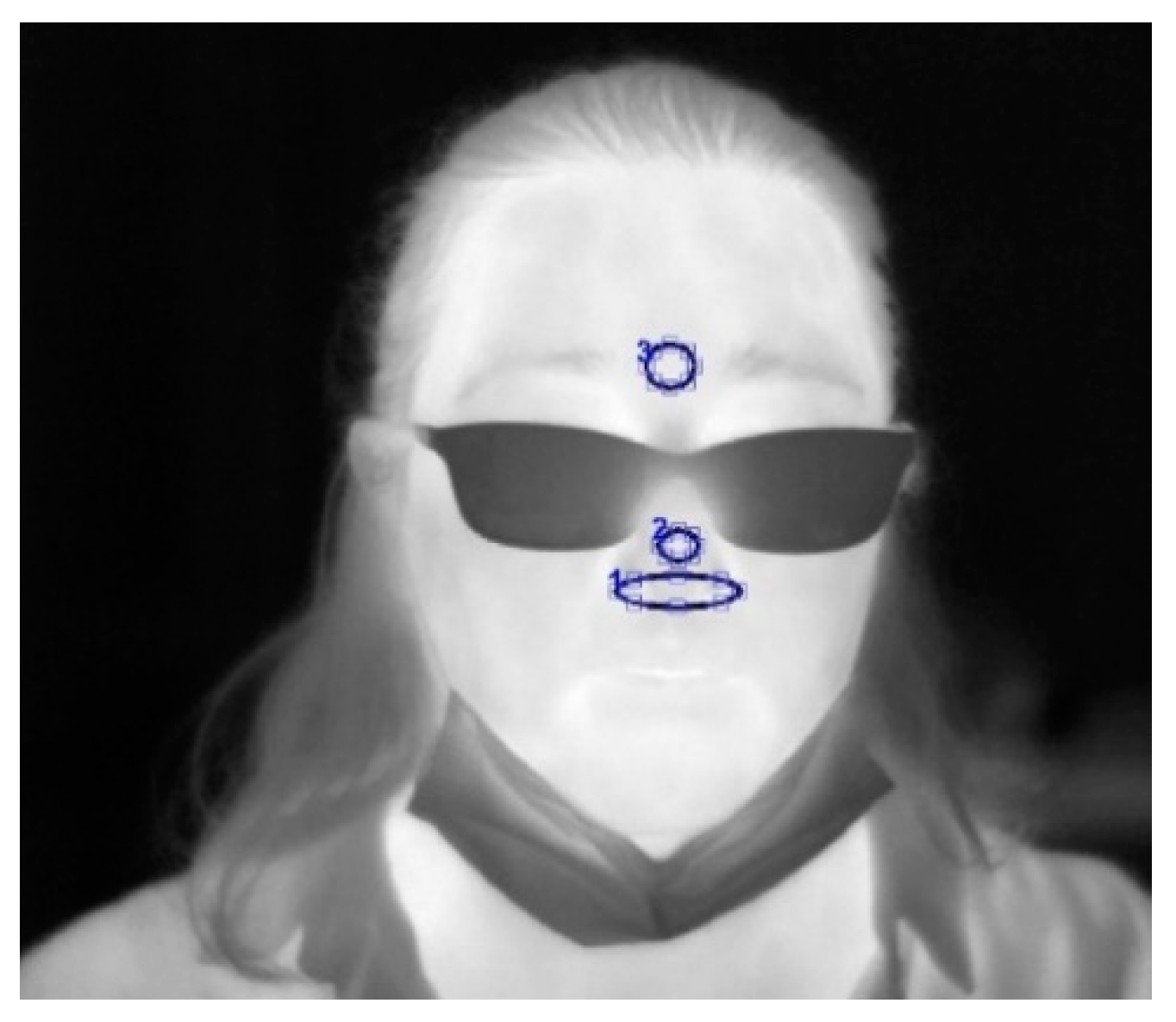 Engproc 08 00010 g001