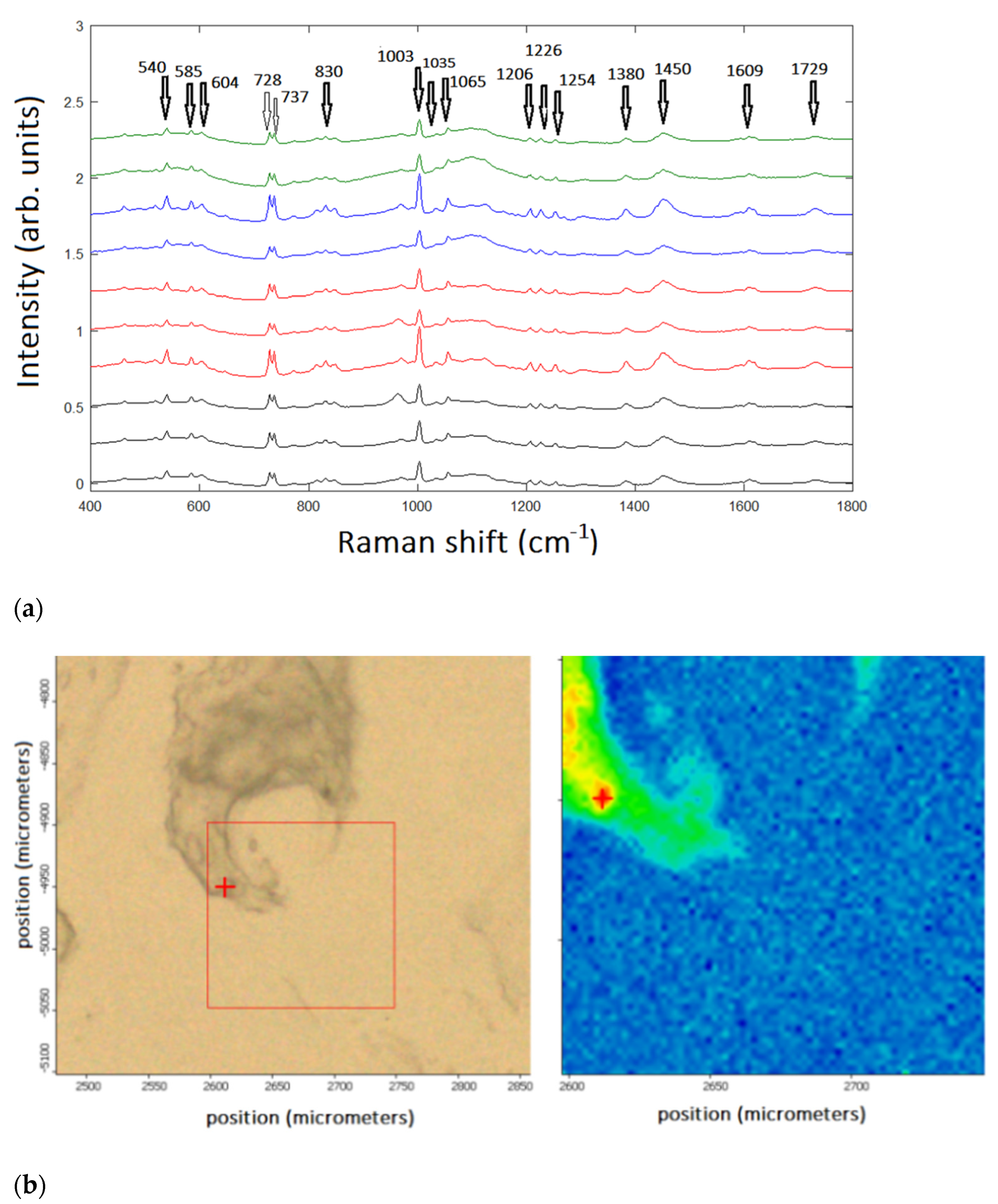 Engproc 08 00012 g001