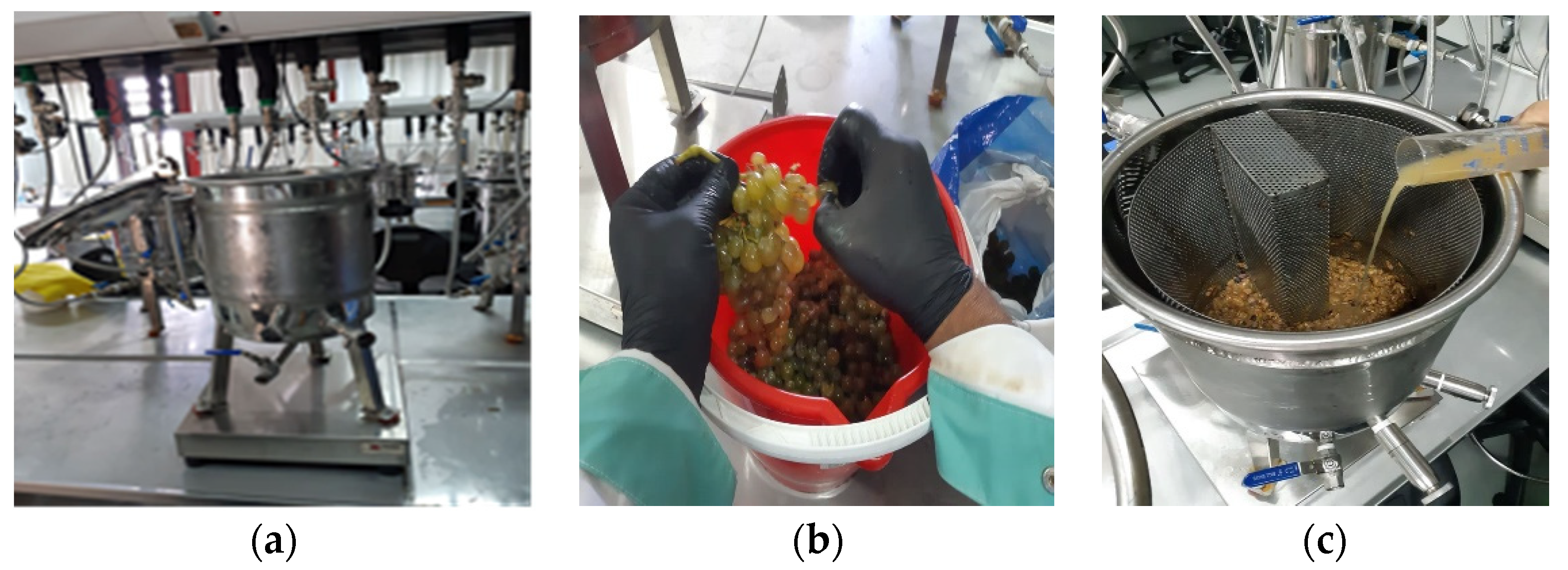 Engproc 09 00007 g001