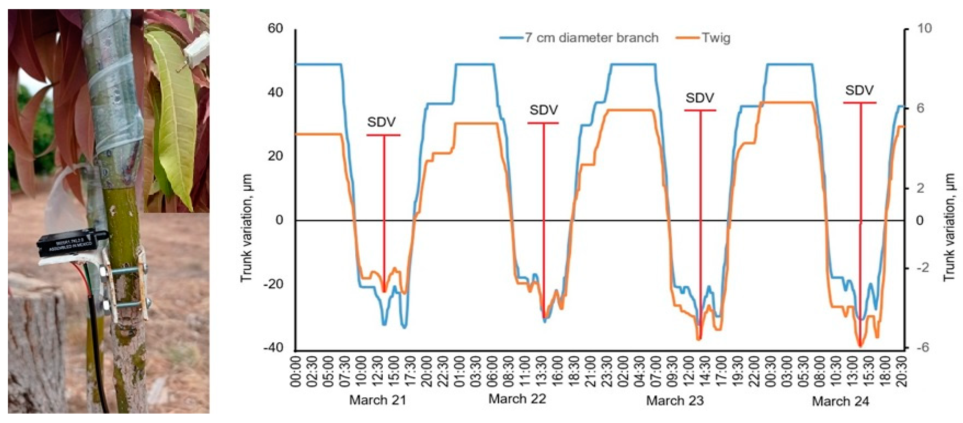 Engproc 09 00028 g002