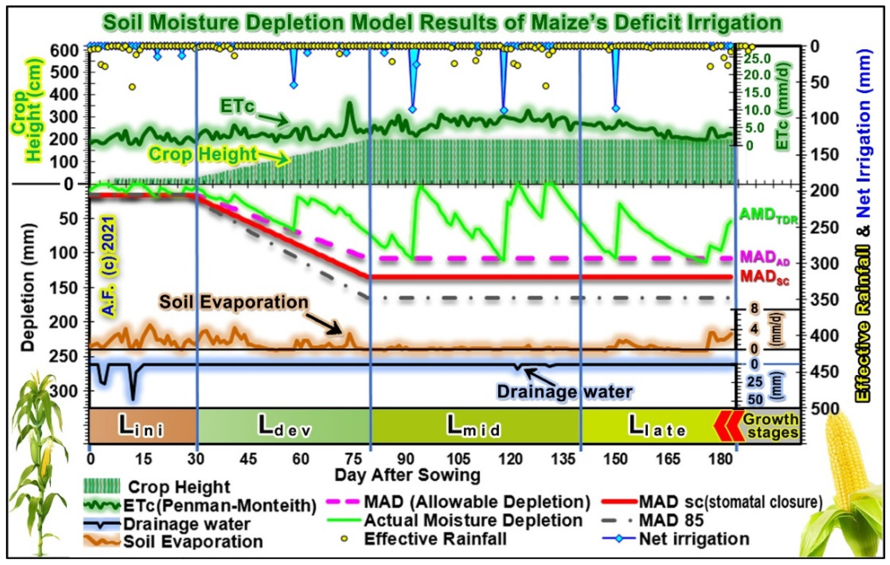 Engproc 09 00036 g001