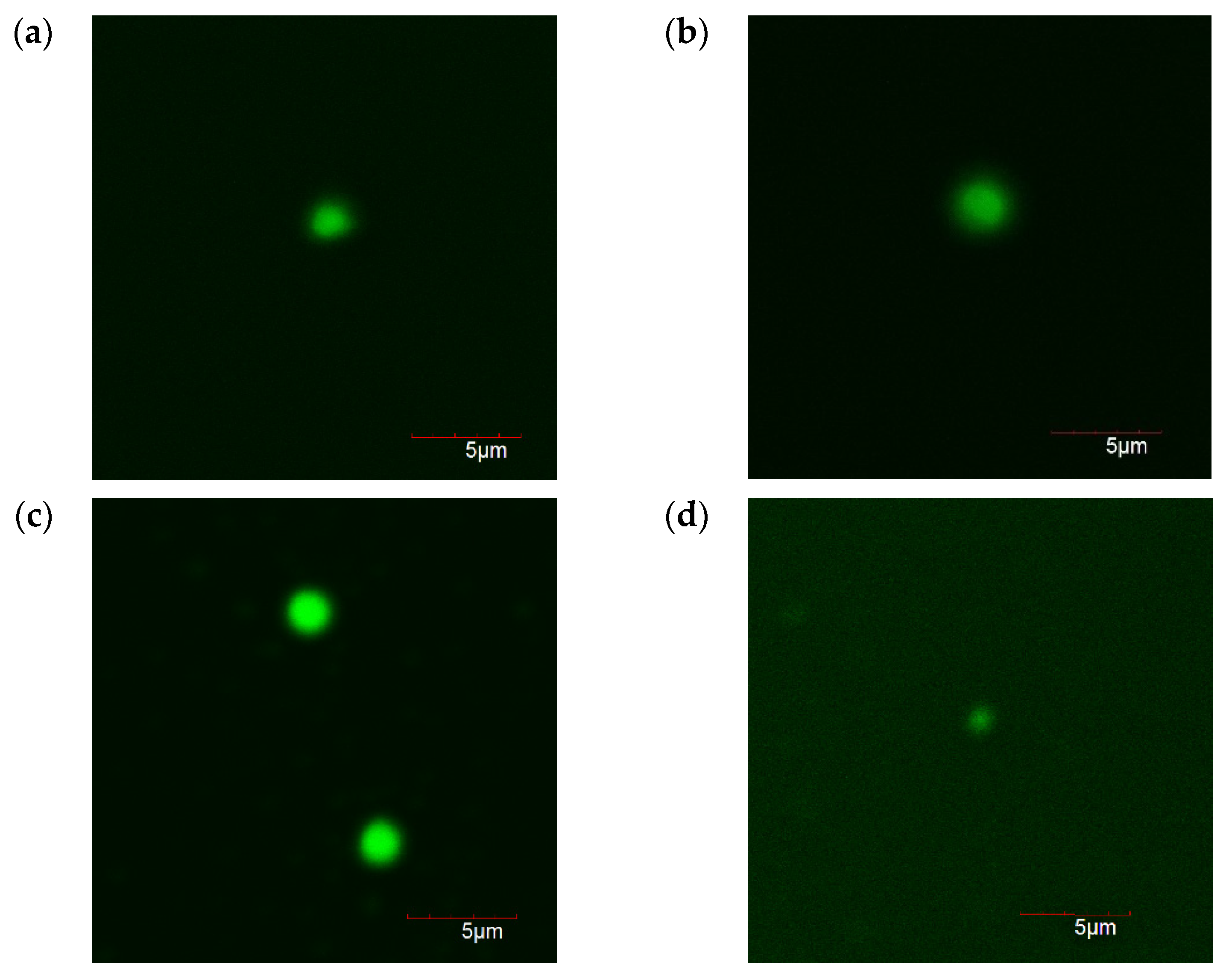 Engproc 10 00011 g003