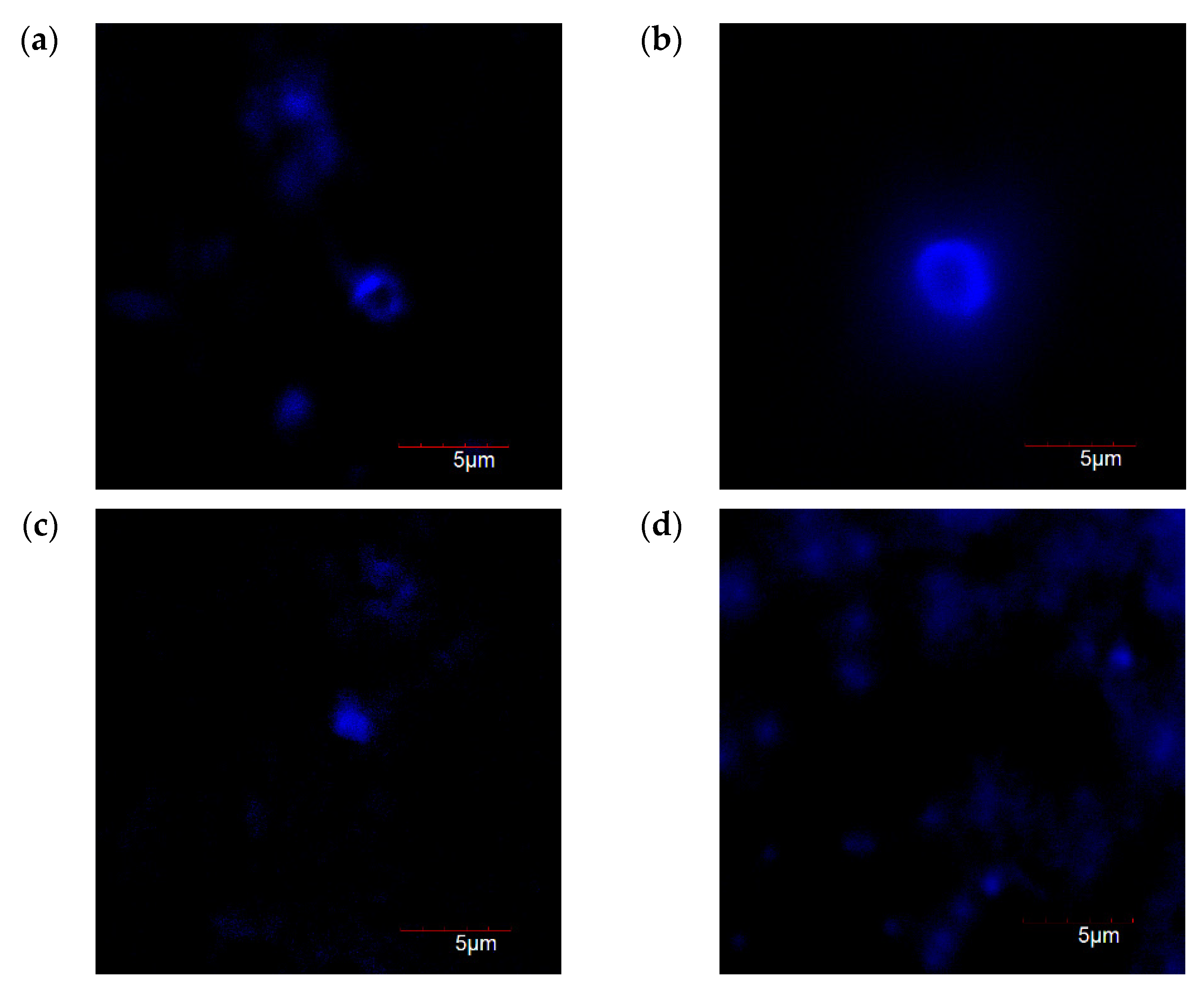 Engproc 10 00011 g004