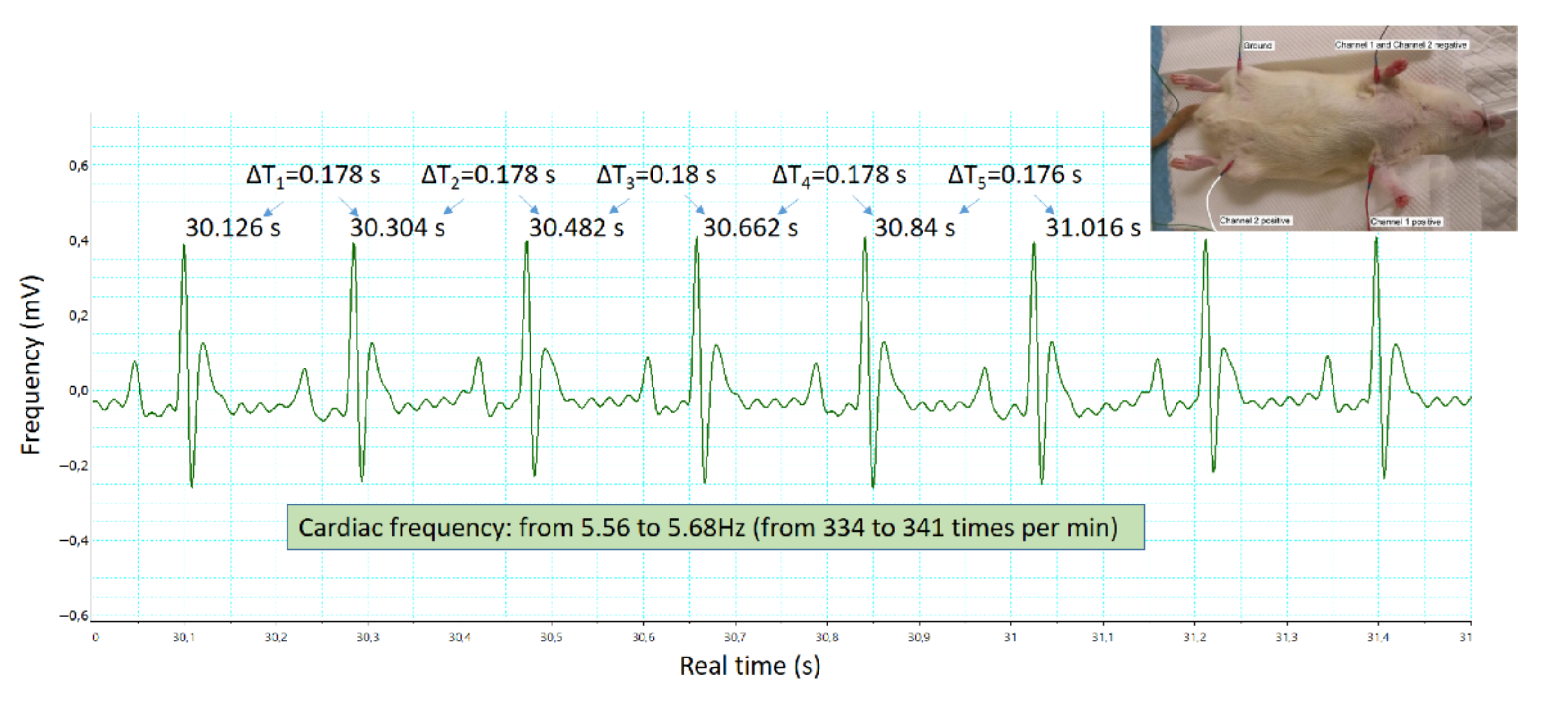 Engproc 10 00027 g005