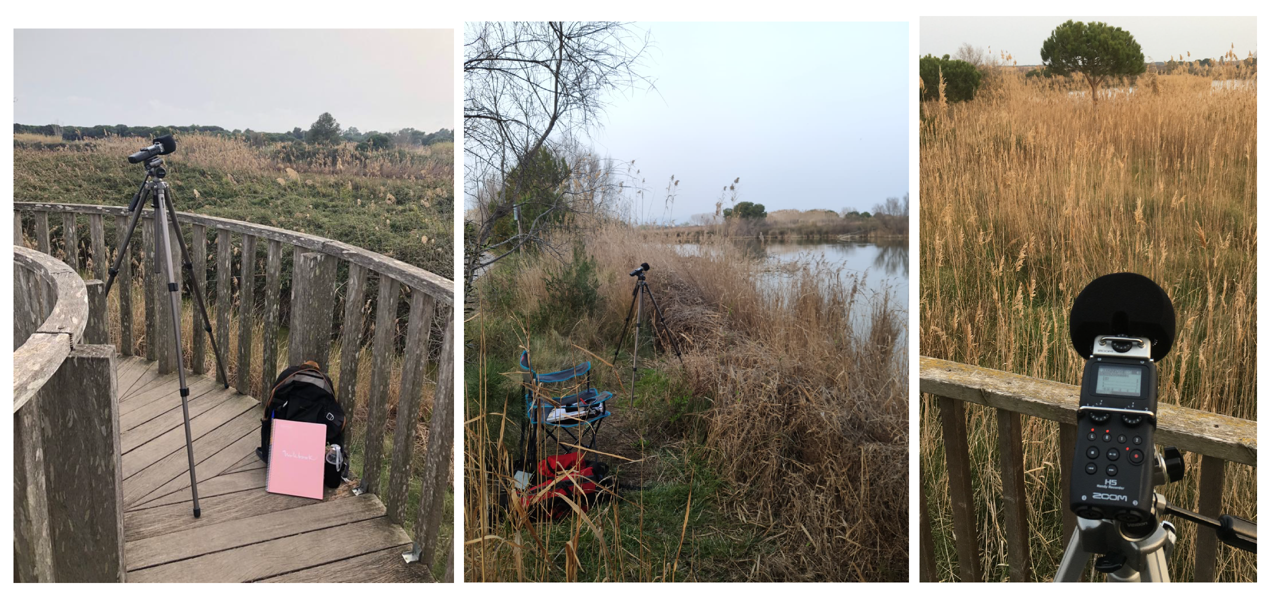 Engproc 10 00041 g001