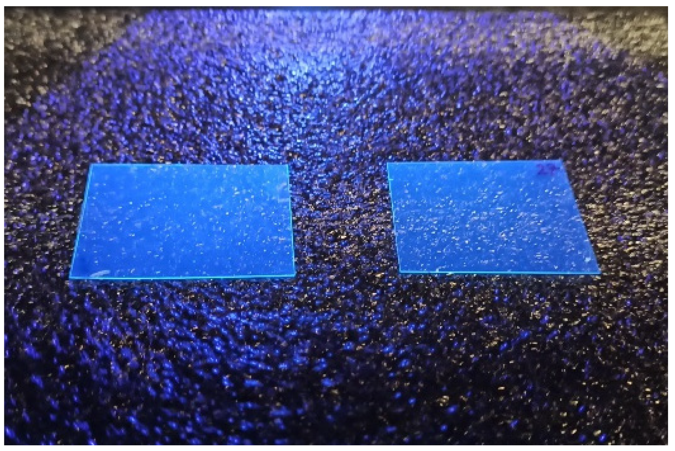 Engproc 10 00061 g001