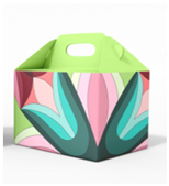 Engproc 100 00010 i013