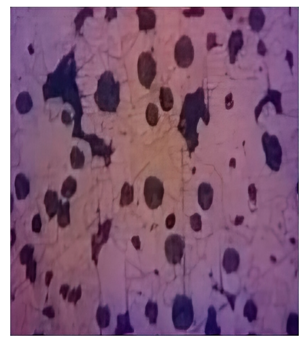 Engproc 100 00032 g003