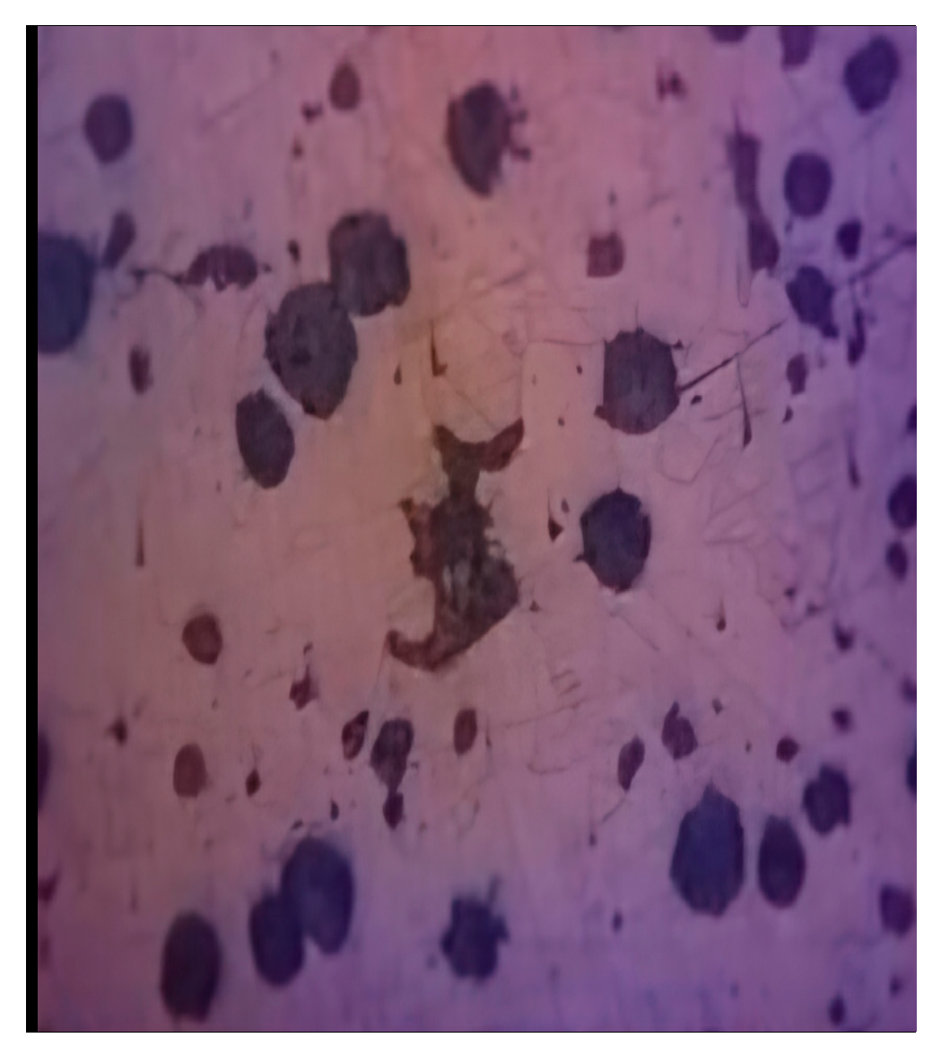 Engproc 100 00032 g004