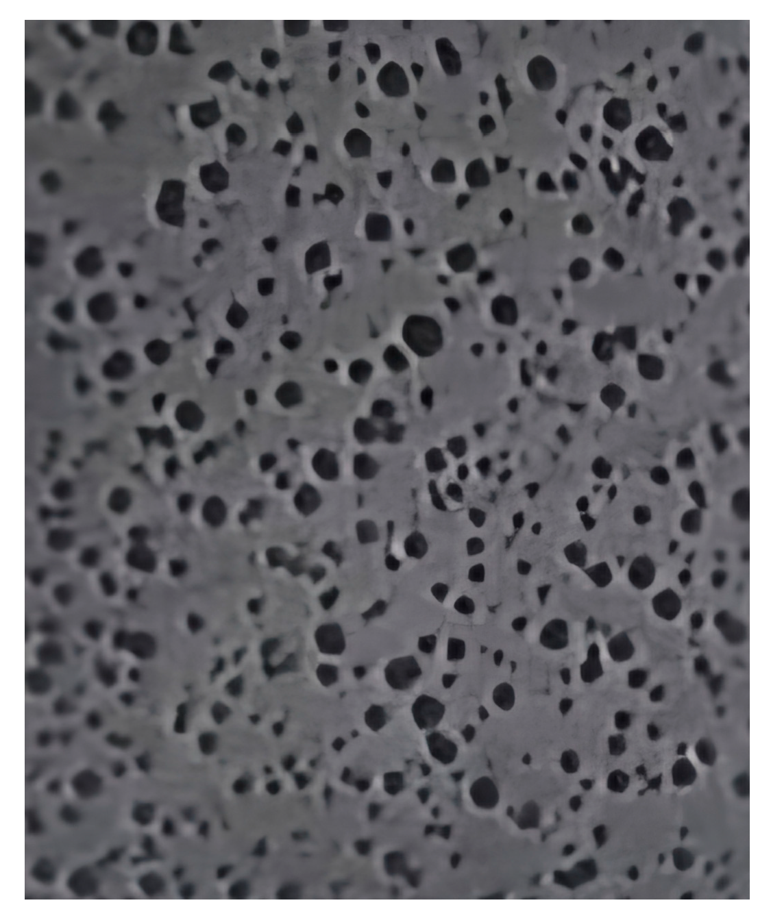 Engproc 100 00032 g007