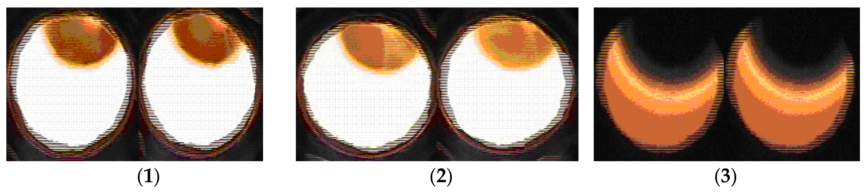 Engproc 100 00058 g004