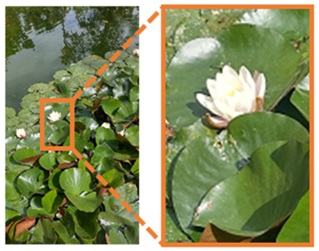 Engproc 104 00001 i001 Engproc 104 00001 i001