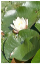 Engproc 104 00001 i002 Engproc 104 00001 i002