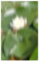 Engproc 104 00001 i003 Engproc 104 00001 i003