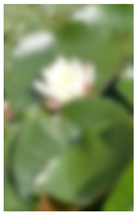 Engproc 104 00001 i004 Engproc 104 00001 i004