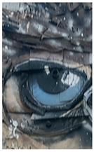 Engproc 104 00001 i006 Engproc 104 00001 i006