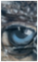 Engproc 104 00001 i008 Engproc 104 00001 i008