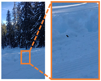 Engproc 104 00001 i009 Engproc 104 00001 i009