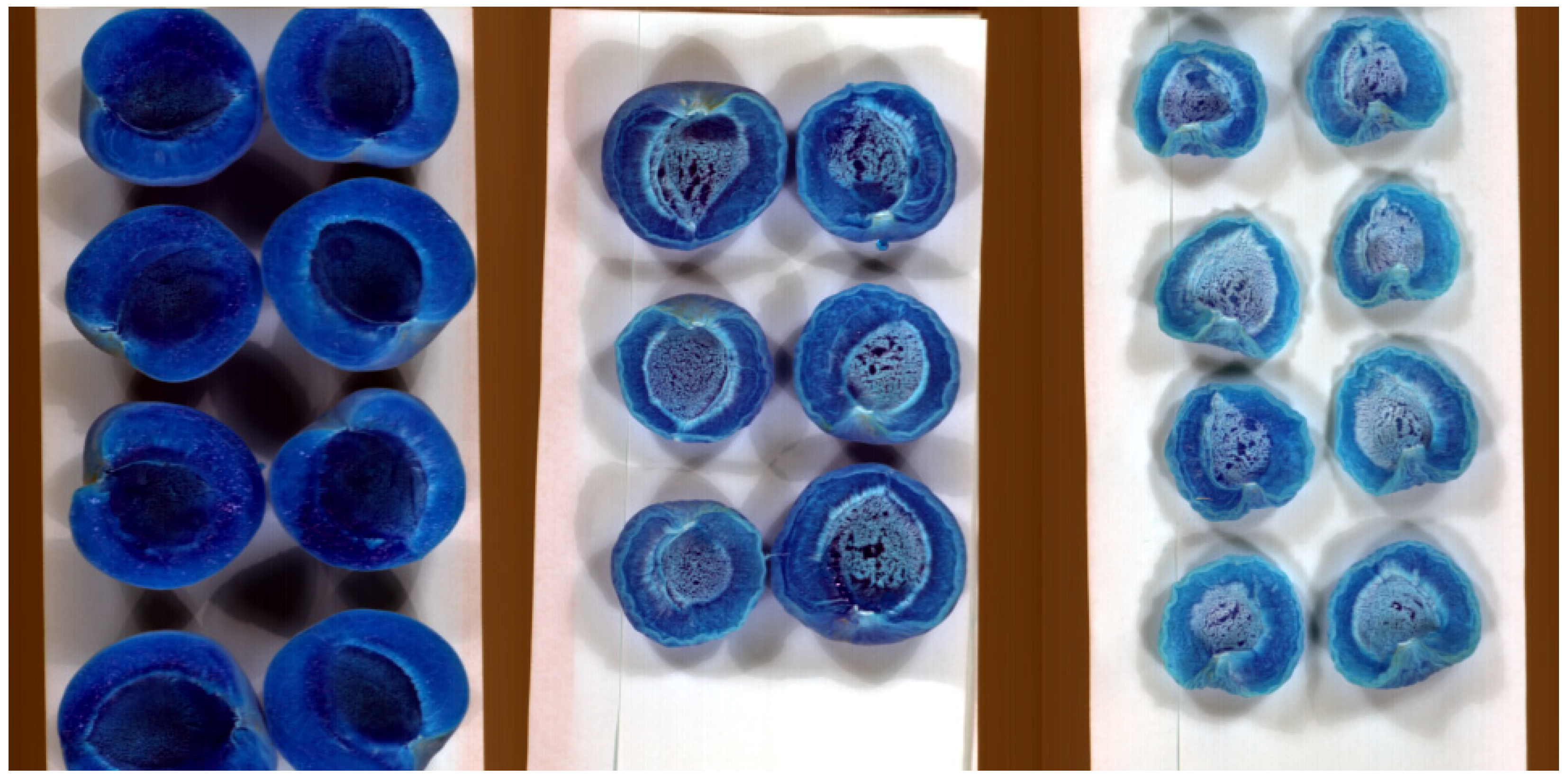 Engproc 104 00024 g002