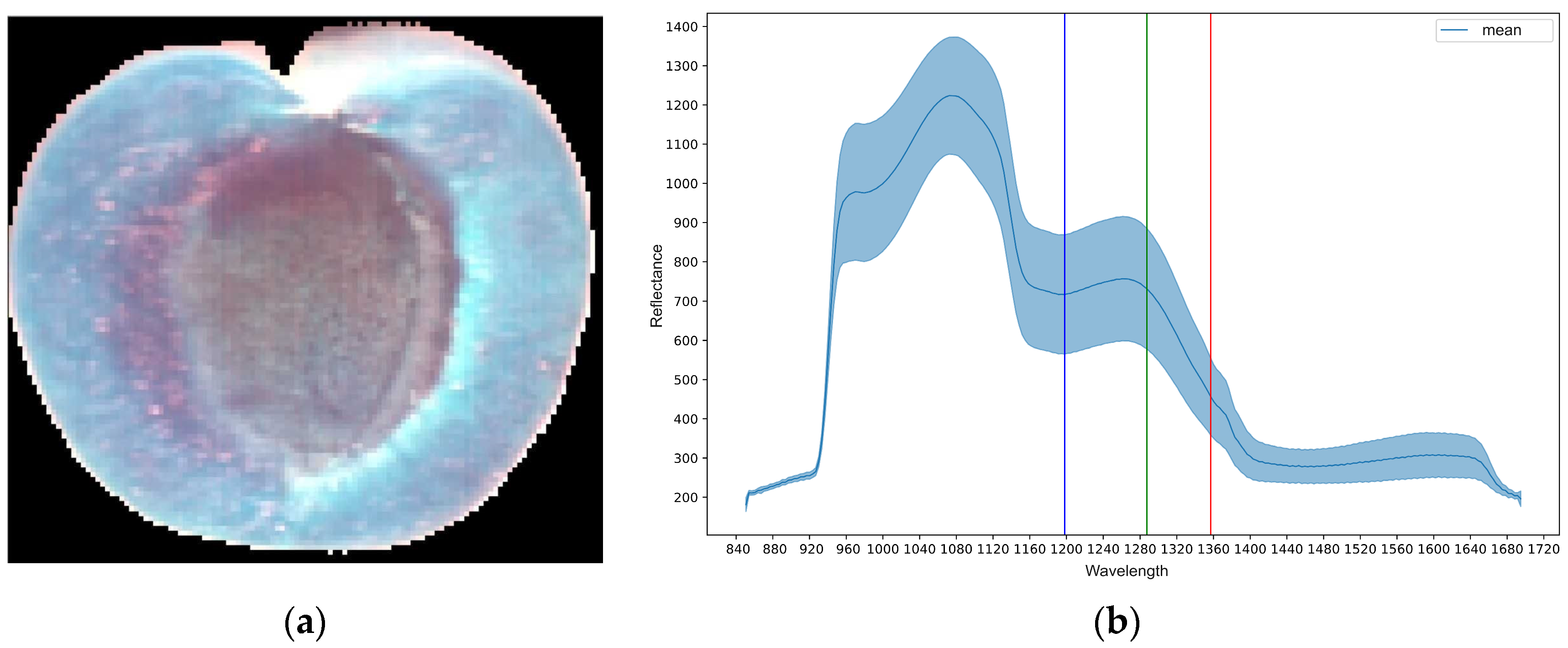 Engproc 104 00024 g003