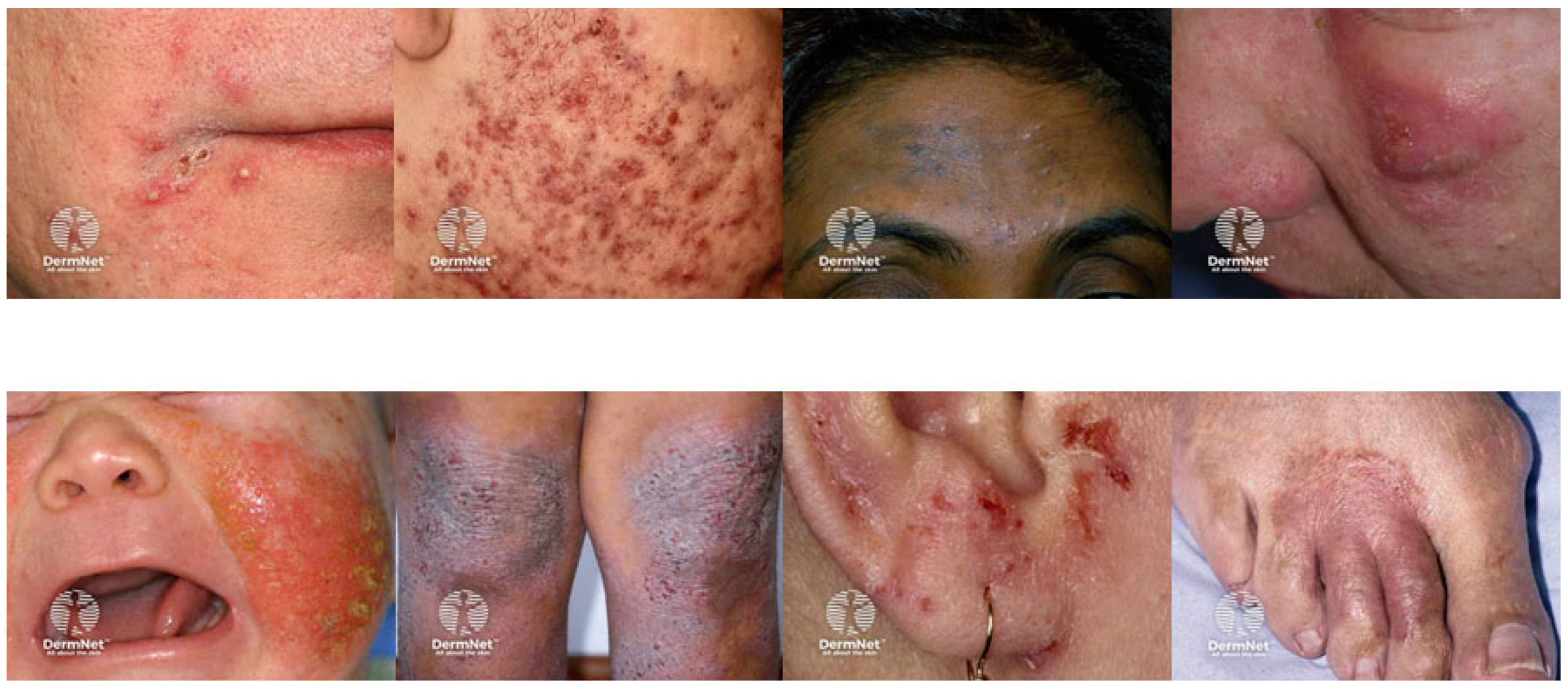 Engproc 104 00044 g004