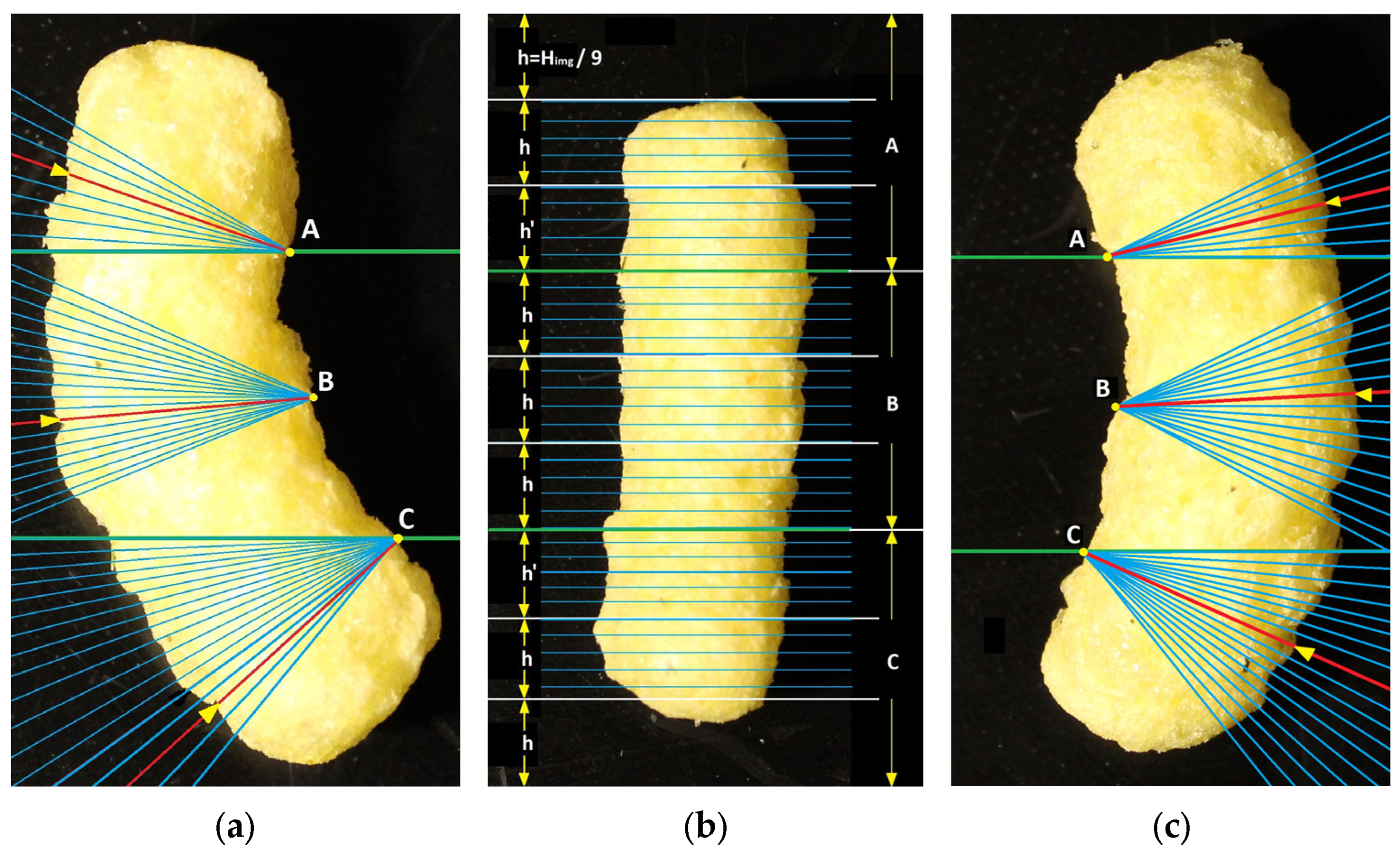 Engproc 104 00081 g006
