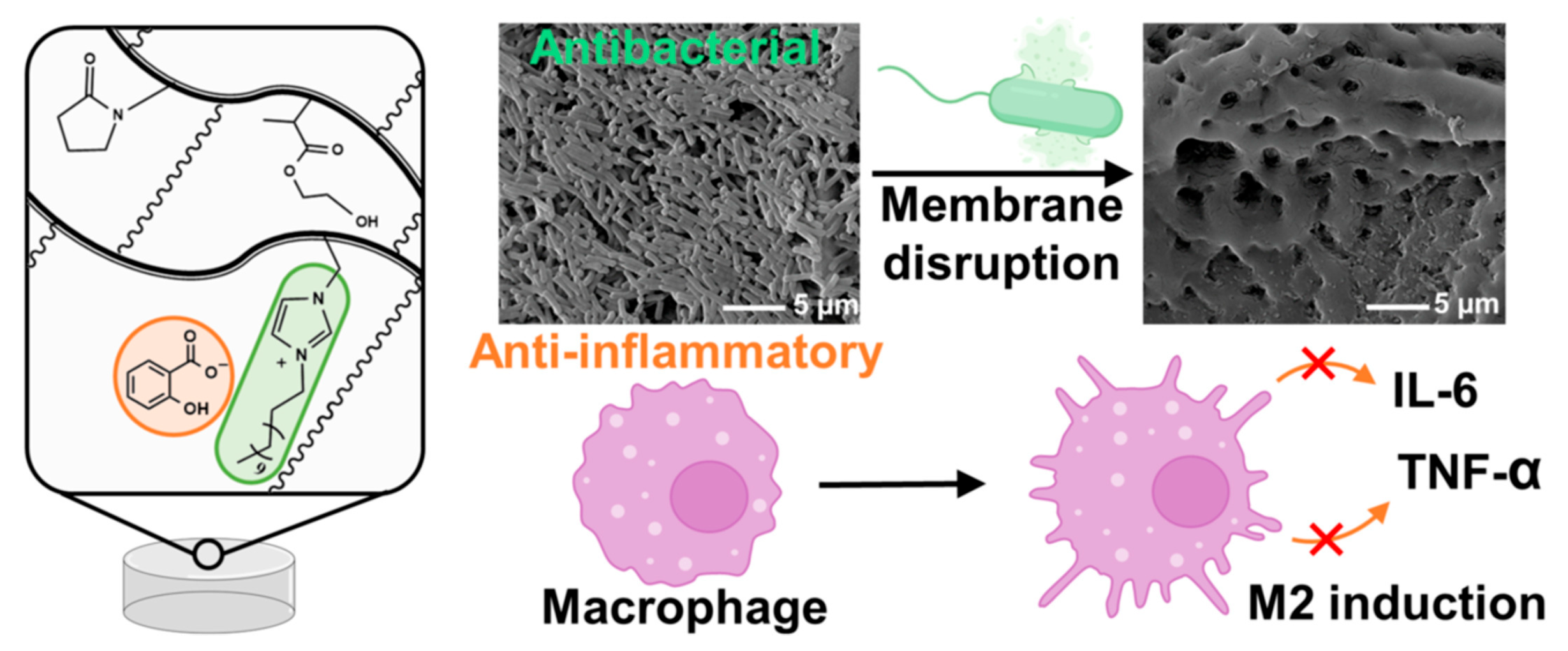 Engproc 106 00004 g005 Engproc 106 00004 g005