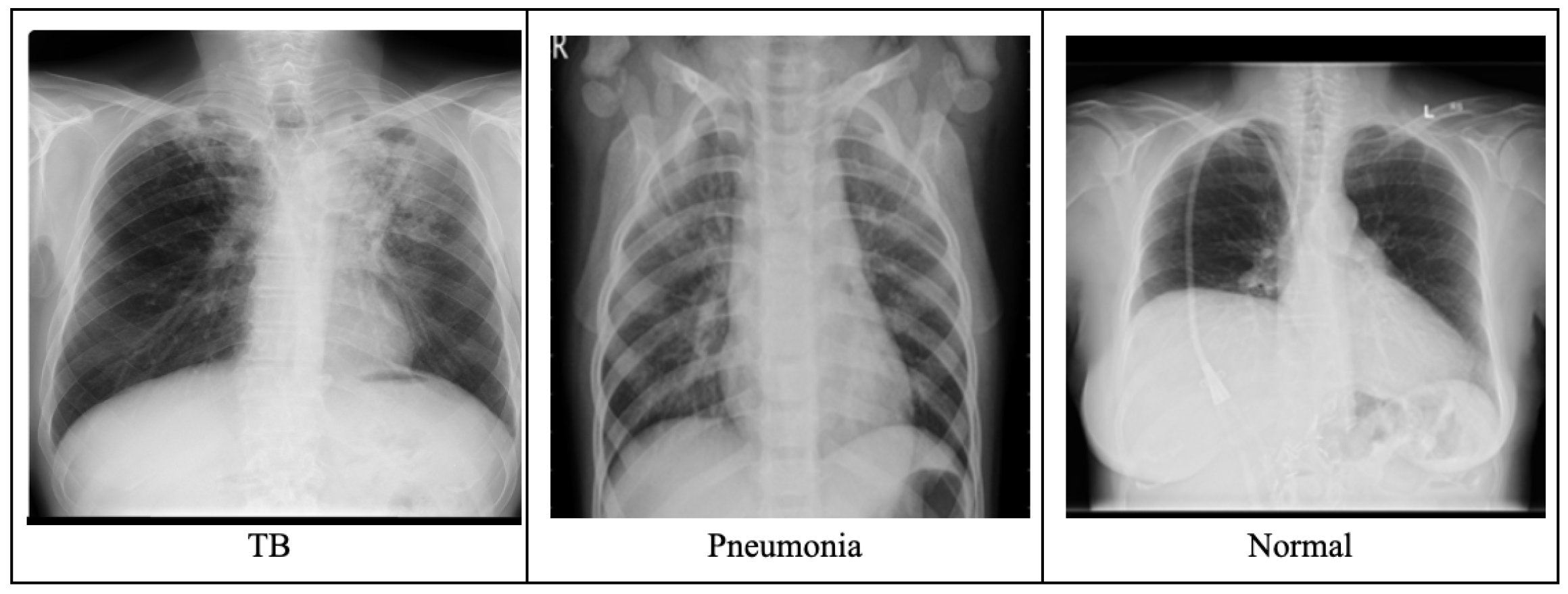 Engproc 107 00016 g001